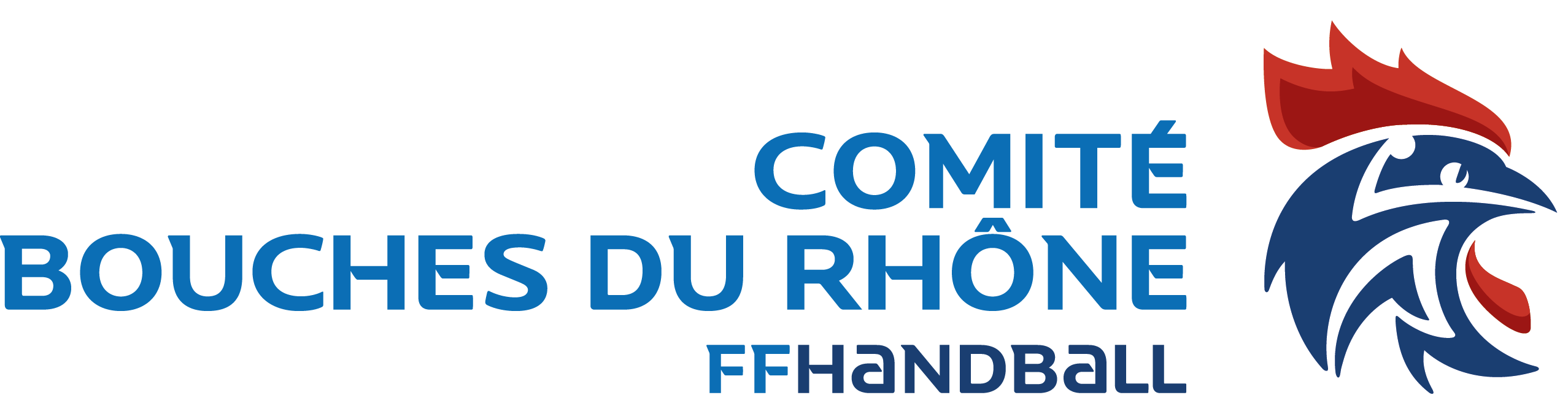 Comité des BdR handball